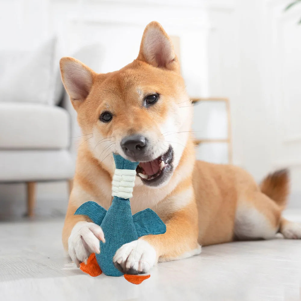 Hundespielzeug Plüschtier Ente